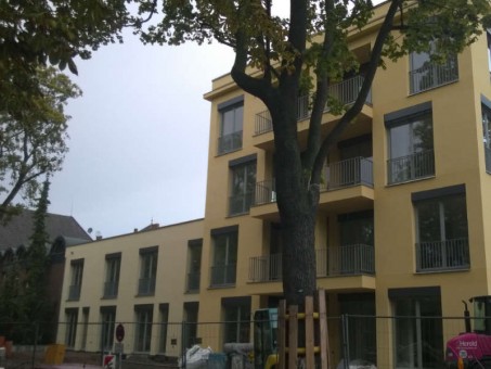 BERLIN Breitestrasse