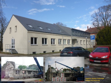 RUPPINER Klinik Pathologie